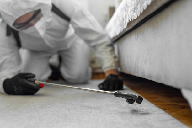 Professional Bed Bug Control technician working in Beaver Dam Lake, NY