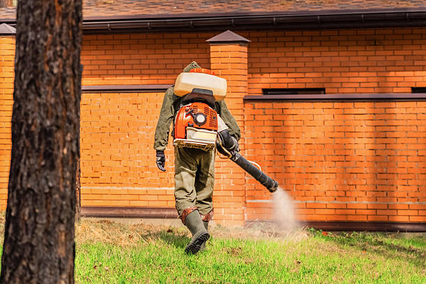 Trusted Rodent Control service in Beaver Dam Lake, NY - Nex Pest Control